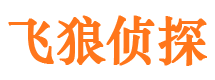 金堂私家调查公司